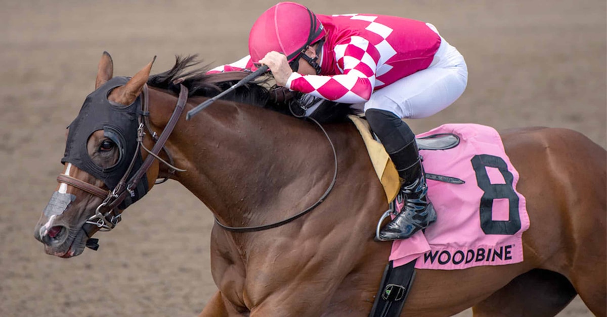 Thumbnail for Woodbine Wrap: First Stakes Win For Shadow in Bison City