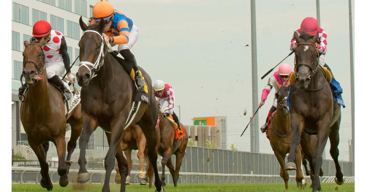 Thumbnail for Love to Shop: First Filly to Win Toronto Cup in 37 Years