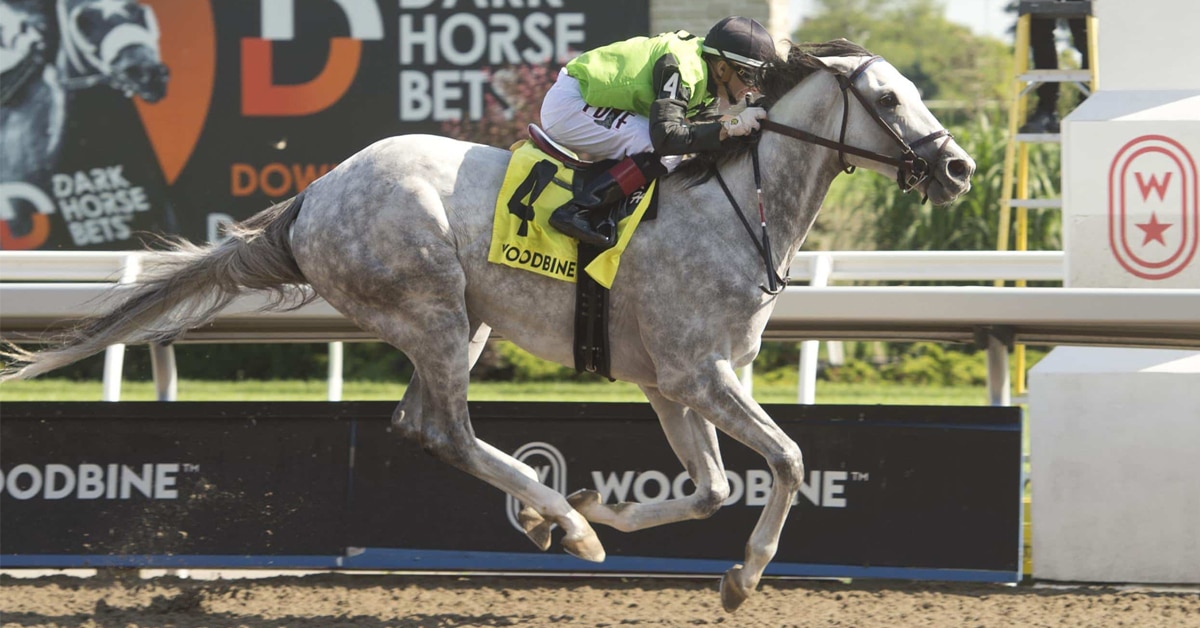 A grey horse galloping on a track.