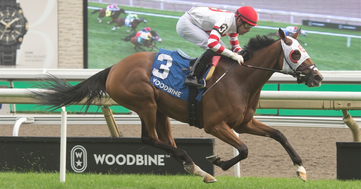Racehorse Tito's Calling running at Woodbine
