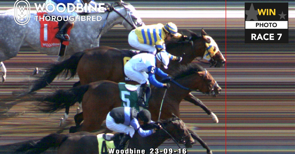 A photo finish image from Woodbine.
