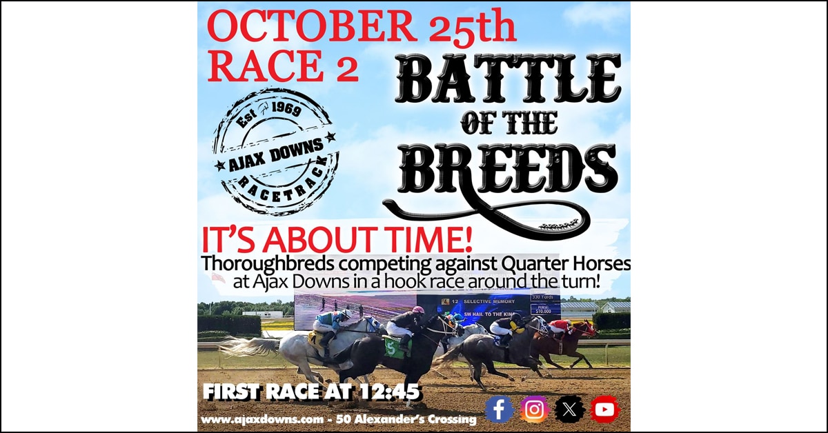 Thumbnail for Battle of the Breeds at Ajax Downs