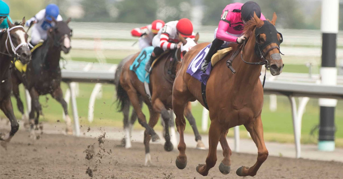 Thumbnail for Woodbine Weekend: Ontario Derby Features Three-Year-Olds