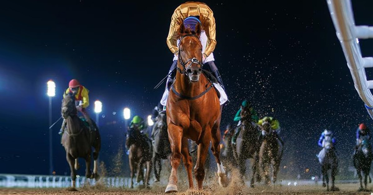 Thumbnail for Dubai World Cup Runner-Up Algiers Headed to Woodbine
