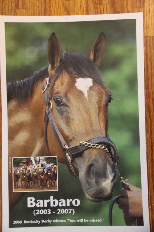 A poster of Barbaro