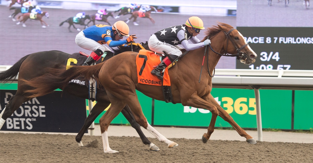Thumbnail for Ryan Munger Wins First Cdn. Stake on ‘Frisky’ Filly