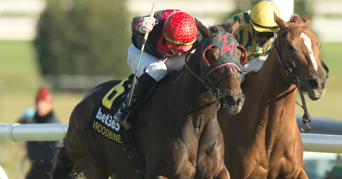 Thumbnail for Woodbine Wrap: Perfect Crime Gives Dixon First Stakes Win