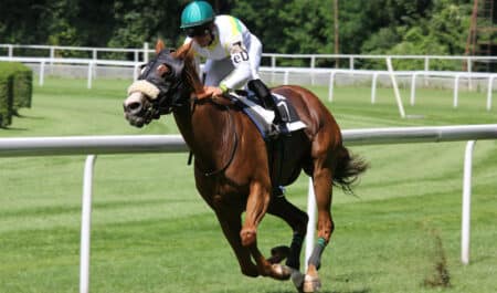 A horse and jockey galloping.