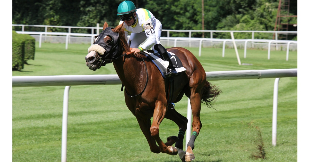 A horse and jockey galloping.