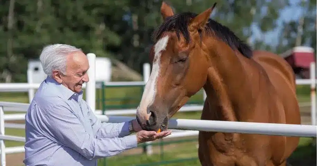 Al Side giving a horse a carrot.