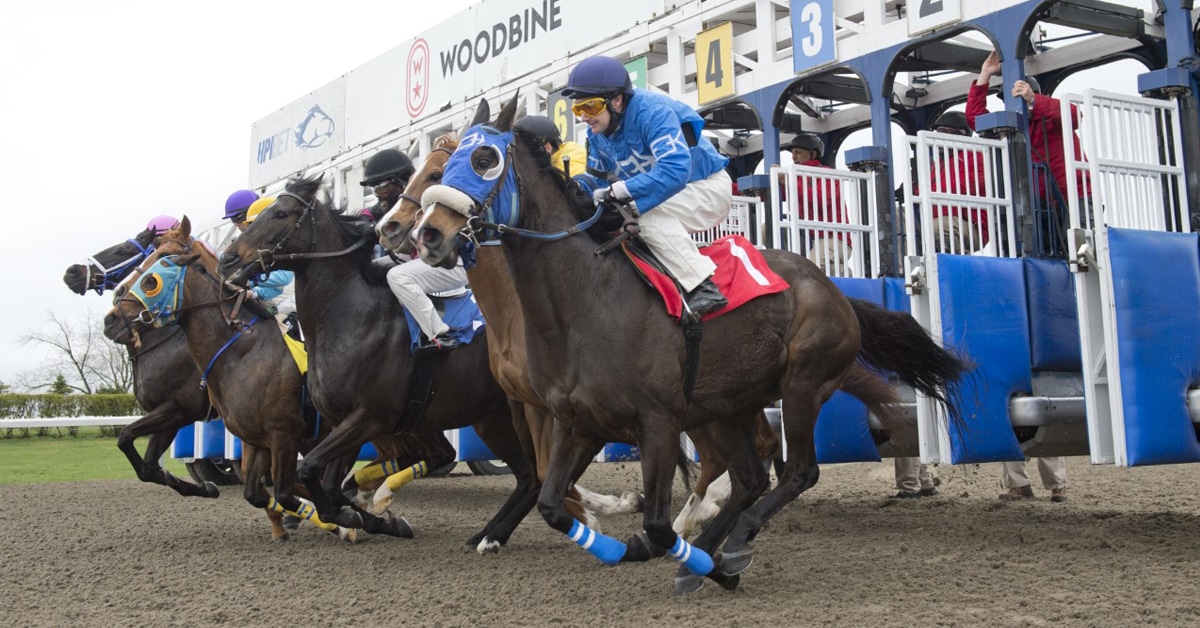Horses breaking from the gate at Woodbine.