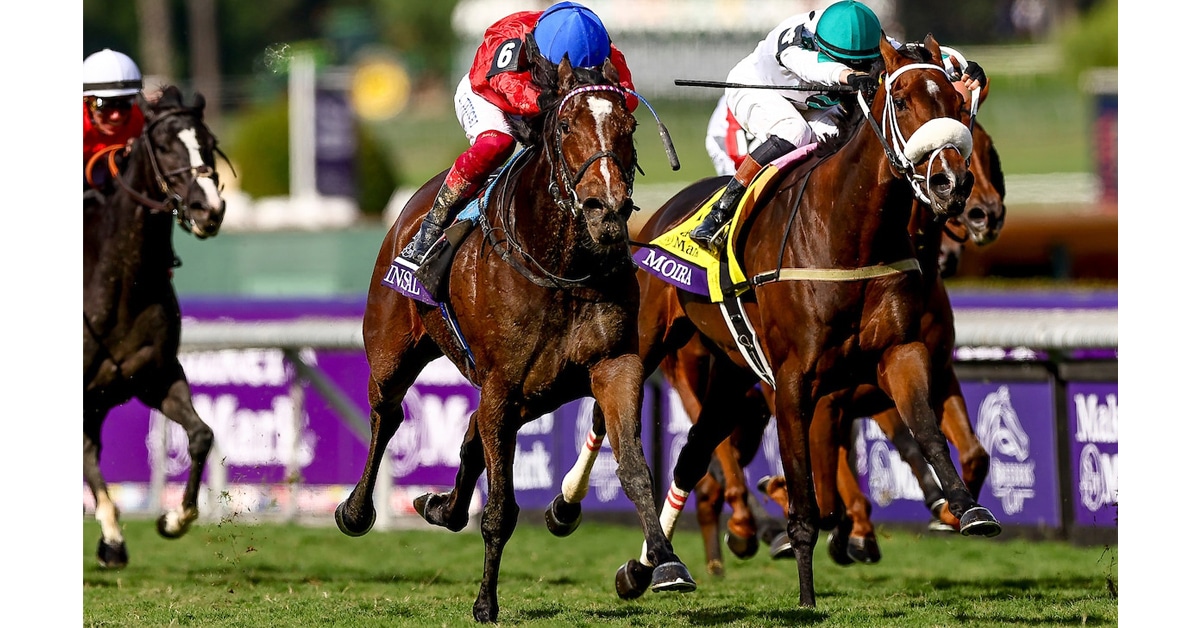 Thumbnail for Breeders’ Cup: White Abarrio Rolls, Moira 3rd in F/M Turf