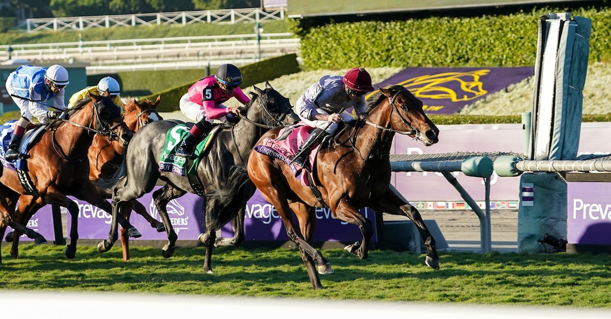 Thumbnail for My Boy Prince Holds Third in Breeders’ Cup Juv. Turf