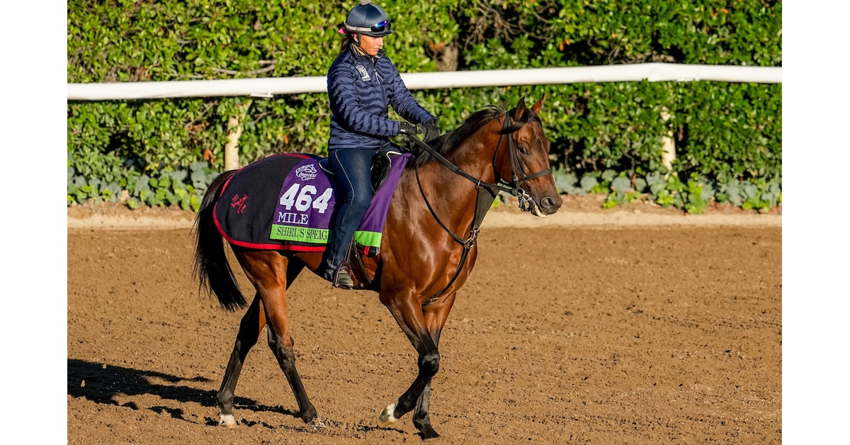Thumbnail for Shirl’s Speight, Moira Back at the Breeders’ Cup