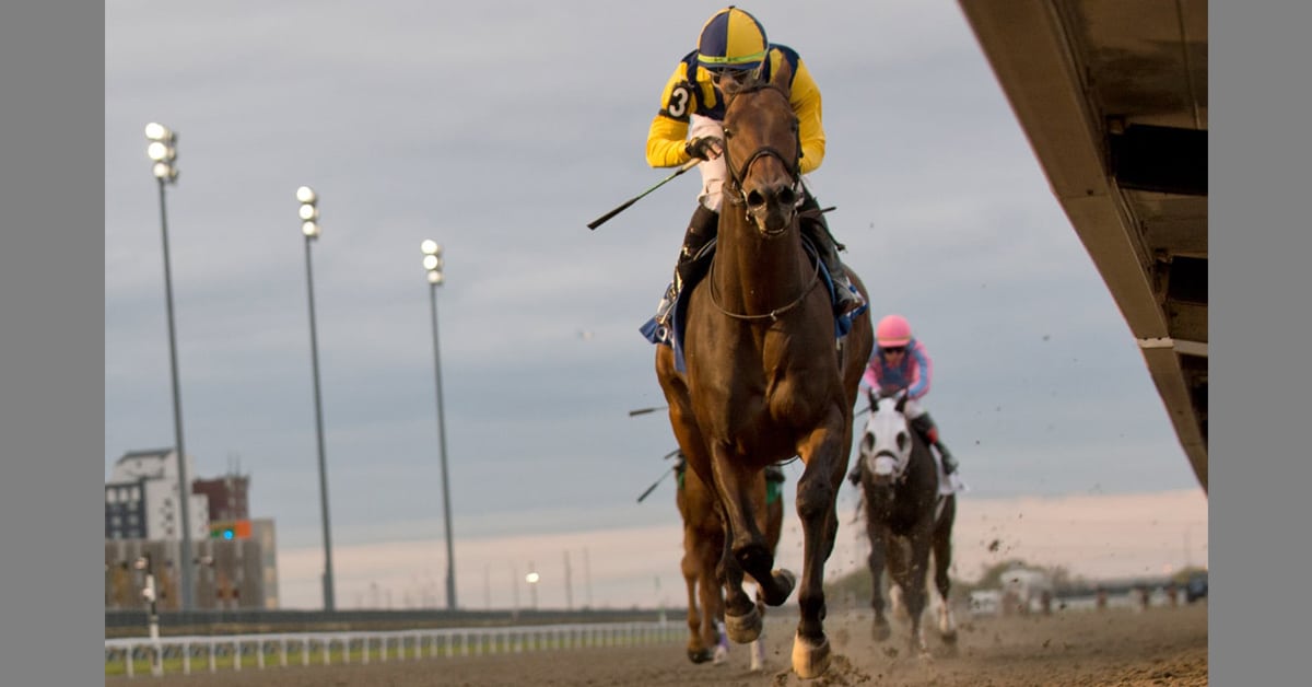Thumbnail for Wolfie Wows in Autumn Stakes at Woodbine
