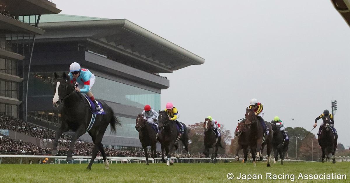 Horses racing in Japan.