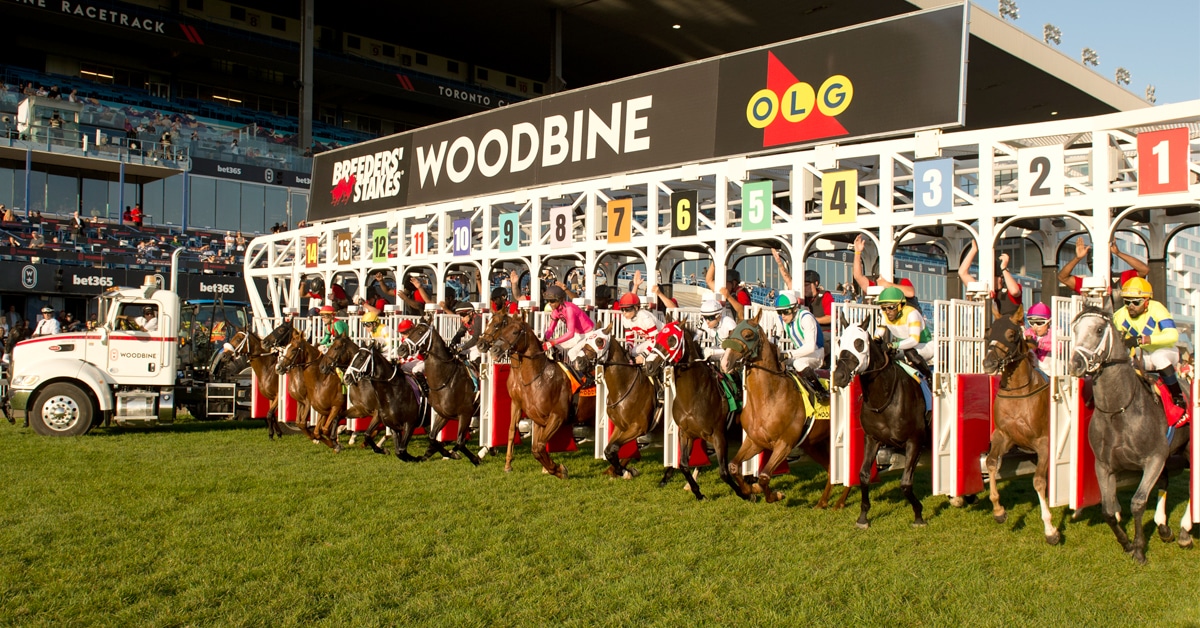 Horses leaving the starting gate at Woodbine.