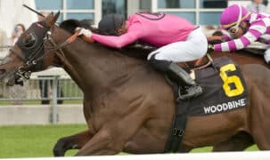 A racehorse wearing pink silks.