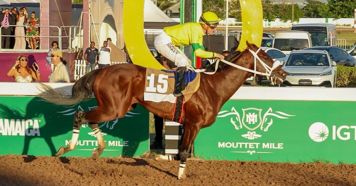 Thumbnail for Rough Entry Romps in Mouttet Mile in Jamaica