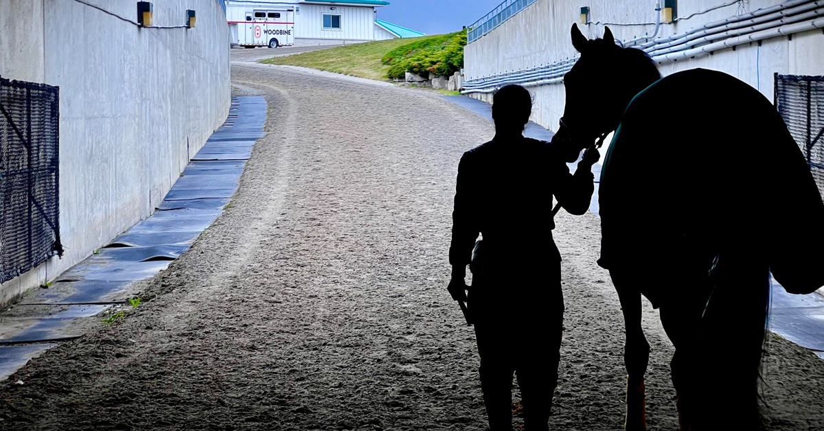 Person leading a horse through the tunnel at Woodbine.