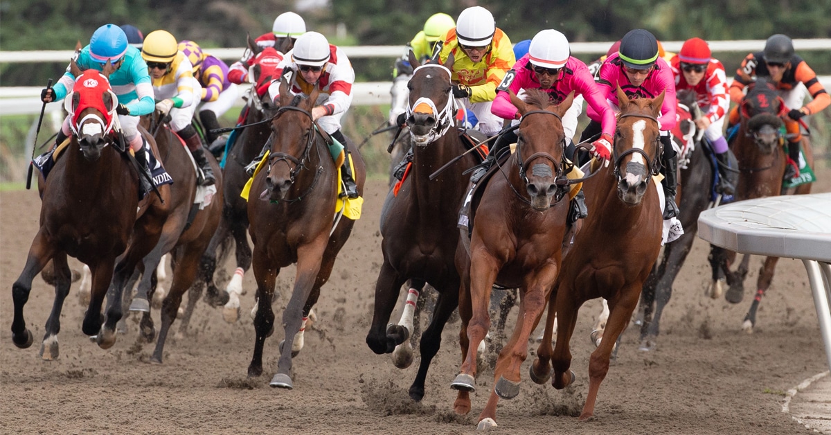 Thumbnail for Woodbine Delivers Strong Numbers in 2023