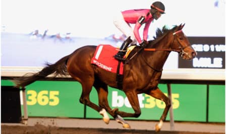A racehorse running with the bet365 sign in the background.