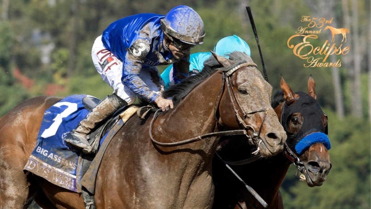Thumbnail for Eclipse Awards: Cody’s Wish is America’s Horse of the Year