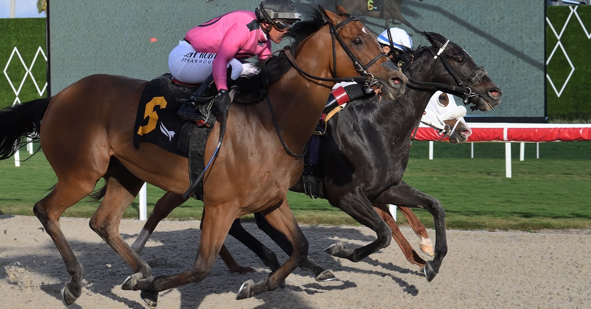 Horses racing at Gulfstream Park.