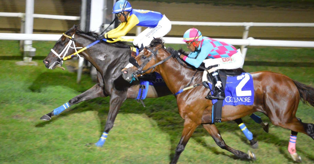 Thumbnail for ‘Pat’ Zips to Coolmore Victory in Barbados for Holder