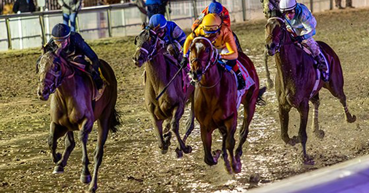 Horses racing on a sloppy track.