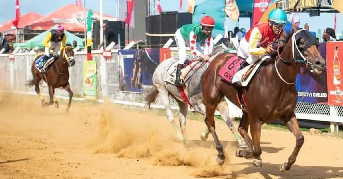 Horses racing in Guyana.