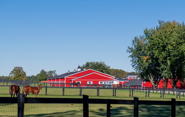 A farm with red barns.