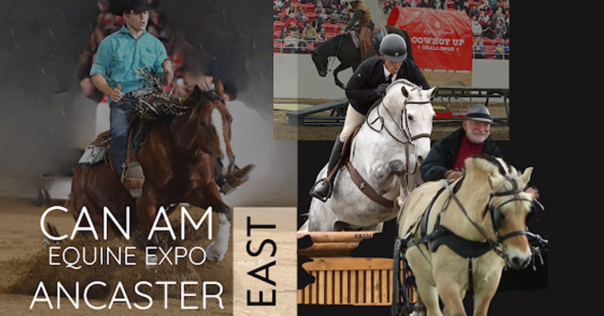 A poster for CanAm Equine.