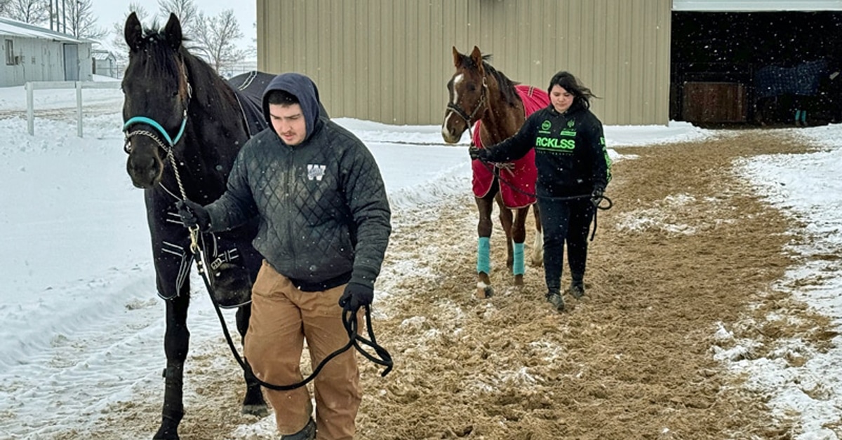 Two people leading horses out of a barn.