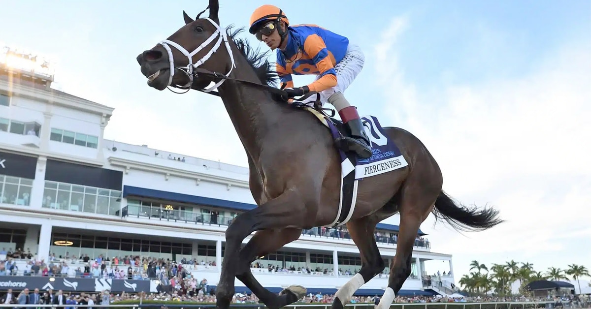 A bay horse winning the Florida Derby.