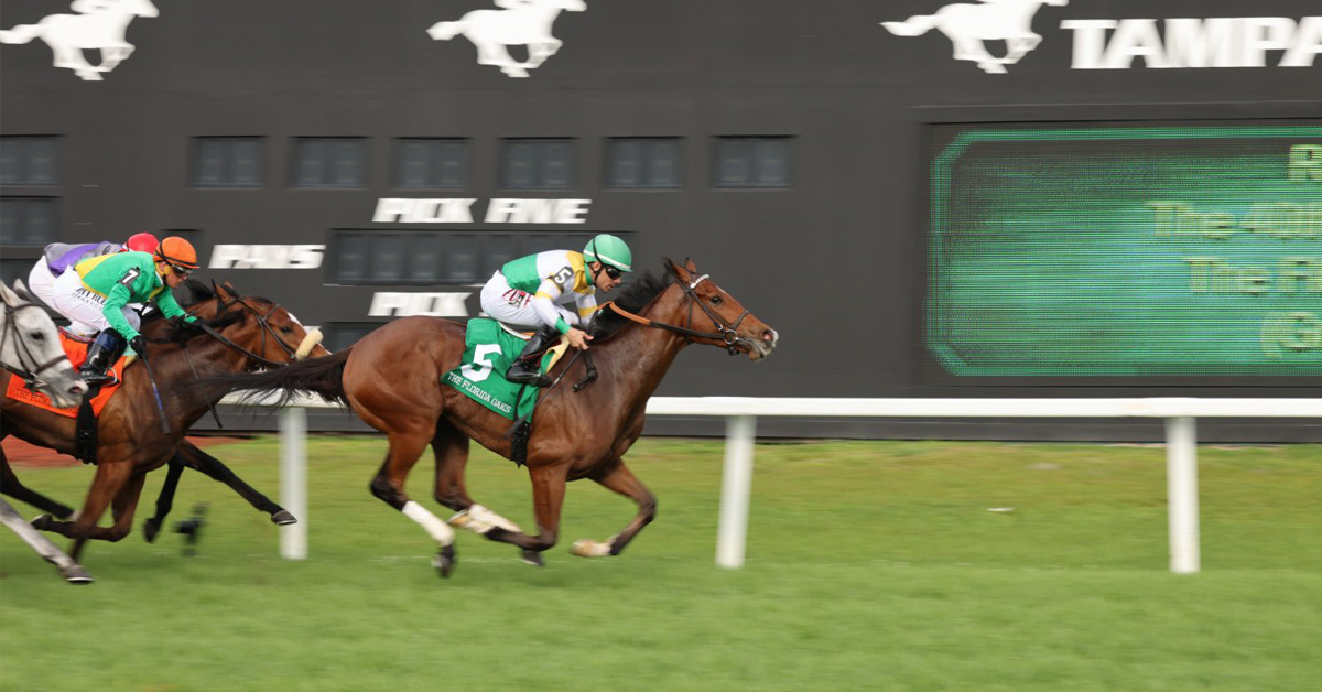Thumbnail for Waskesiu Takes Grade 3 Florida Oaks for Chiefswood Stable
