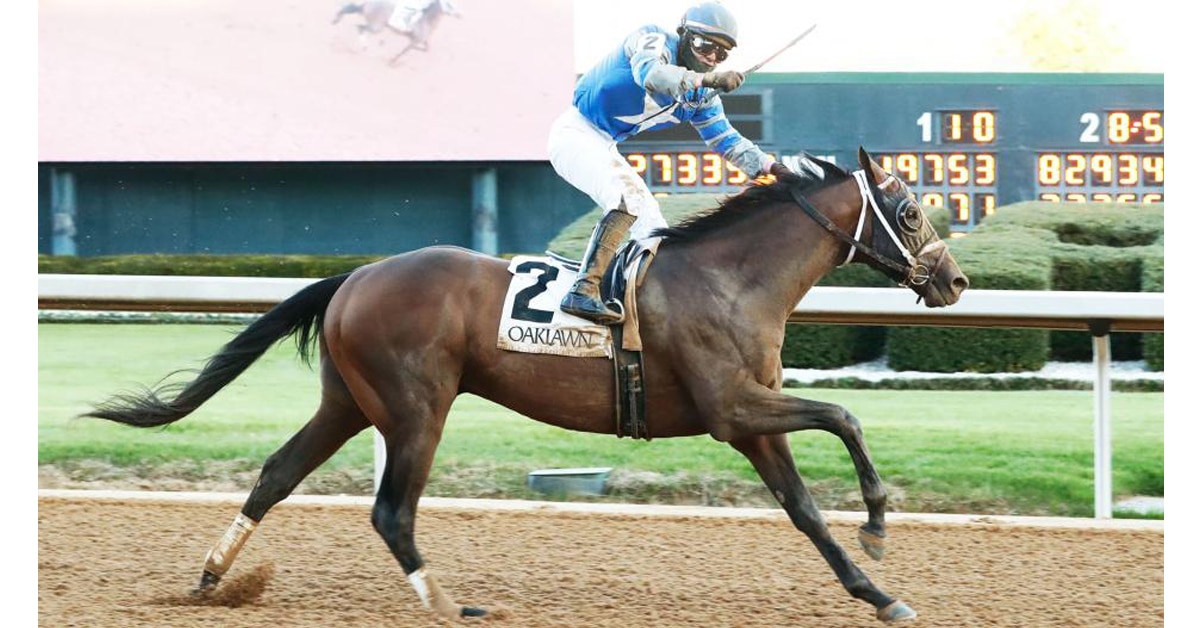 Thumbnail for Big Derby, Oaks Points Available in Louisiana Stakes Saturday