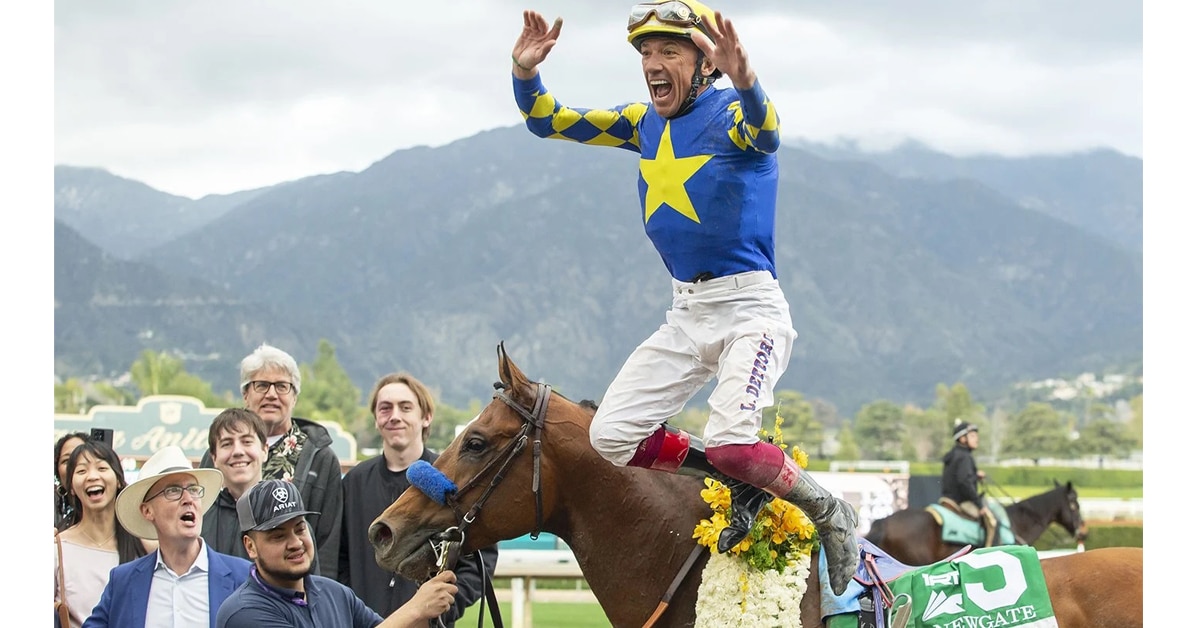 A jockey jumping off a horse in the winners circle.