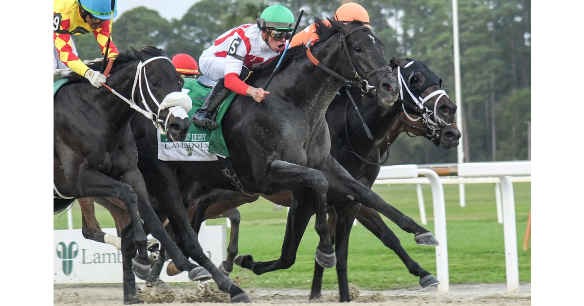 Thumbnail for Updated: Tote Failure Delays, Cancels Wagering on Tampa Derby