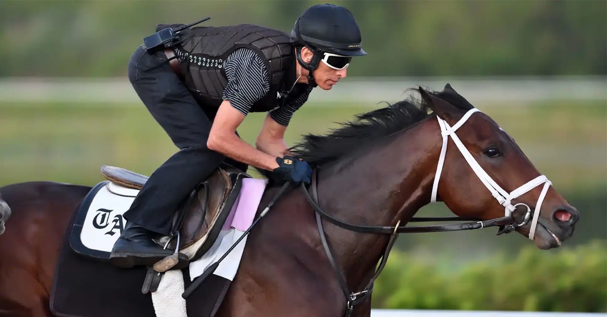 Thumbnail for $1 Million Florida Derby Will Dictate Fate of Fierceness