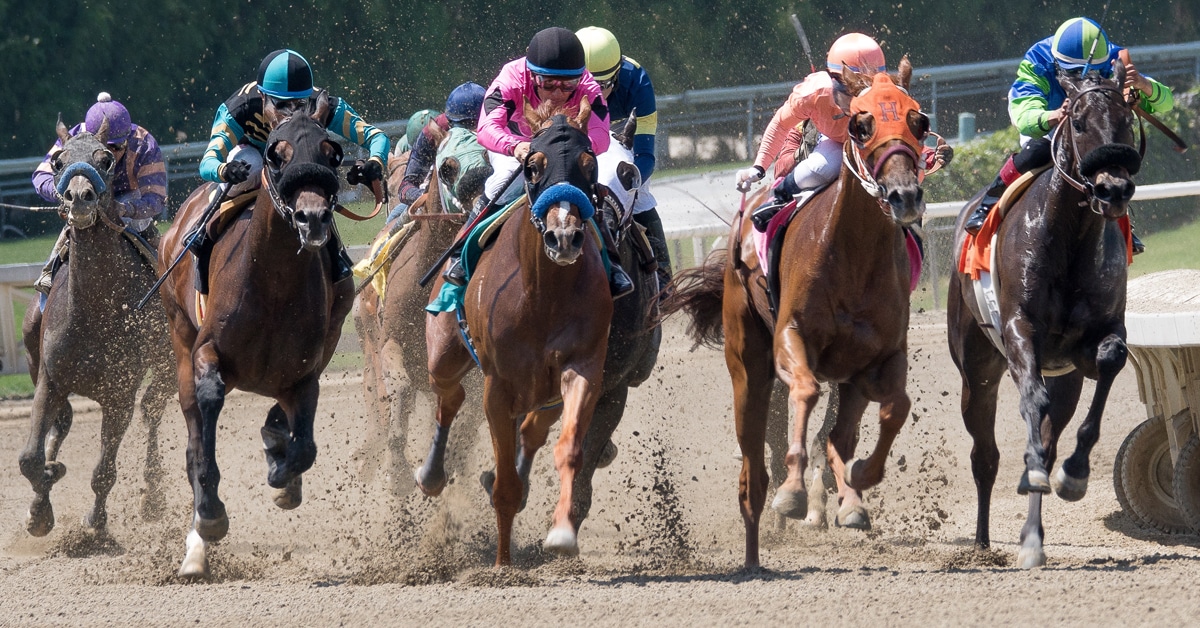 A group of horses racing on a track.