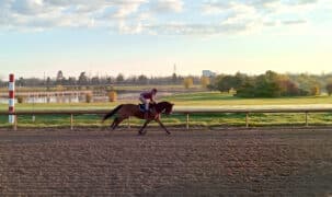 A horse galloping at Fort Erie.