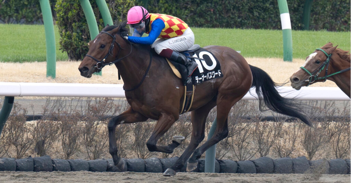 Thumbnail for Canada’s Top Jock Kimura Picks up KY Derby Ride on ‘Password’