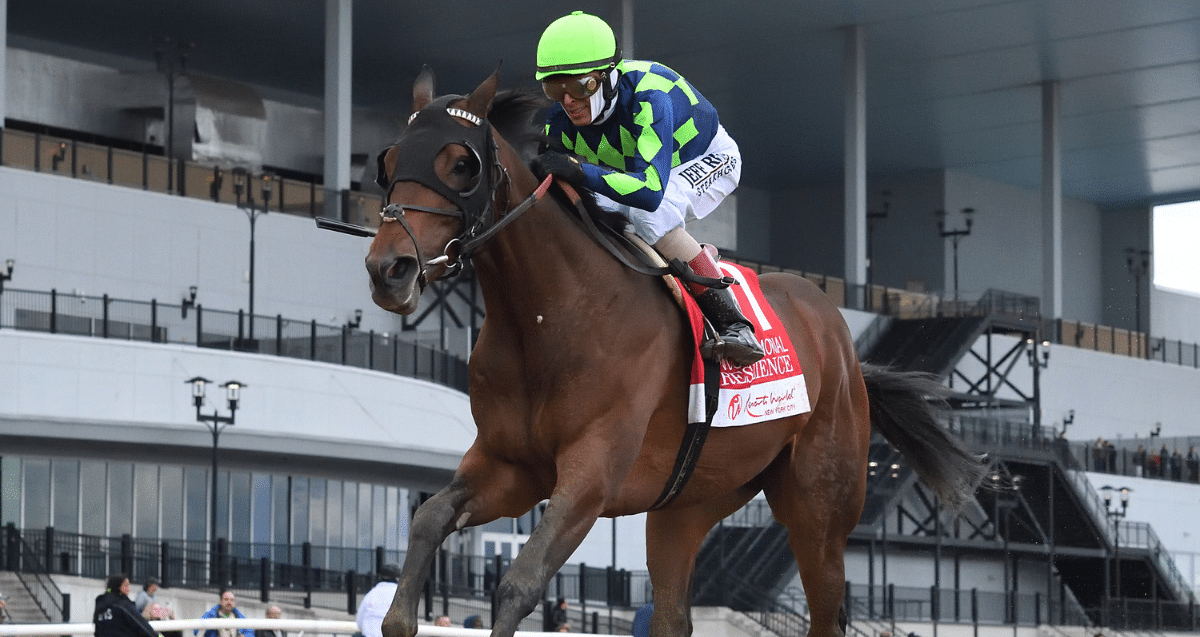 Thumbnail for 150th Kentucky Derby: Resilience Enters Picture for Waldman