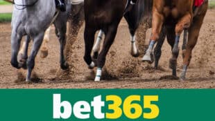 Shot of racehorses' legs; bet365 logo.