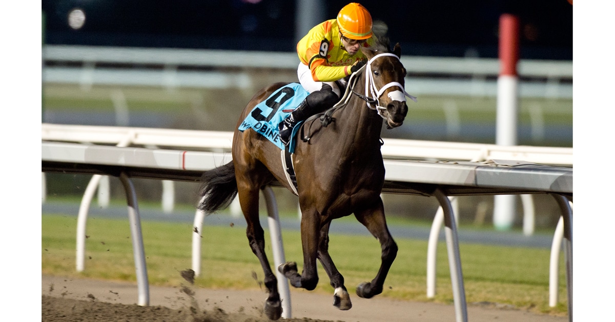 Thumbnail for Nominations for Canadian Triple Crown, Oaks Released