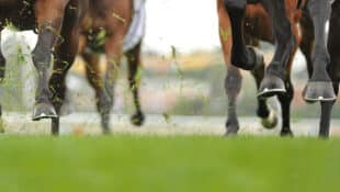 Horses racing on a turf track.