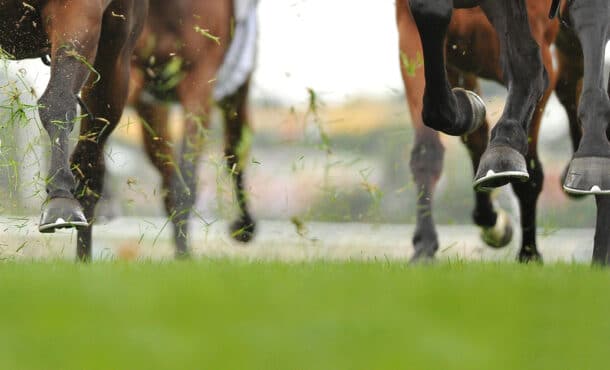 Horses racing on a turf track.
