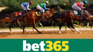 Horses racing; a bet365 logo.