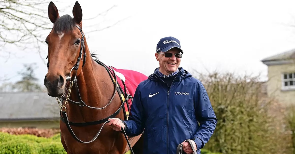 A man in a Coolmore jacket holding a bay horse.